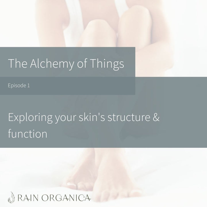 Episode 1: Exploring your skin's structure and function