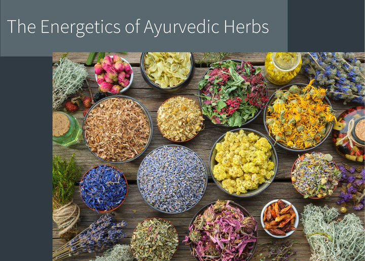 The Energetics of Ayurvedic Herbs