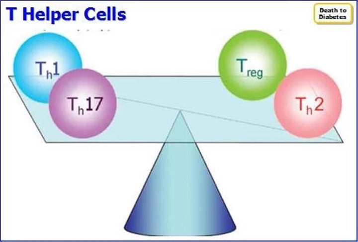 Immunology 101:  Balancing T helper cells and T regulatory cells