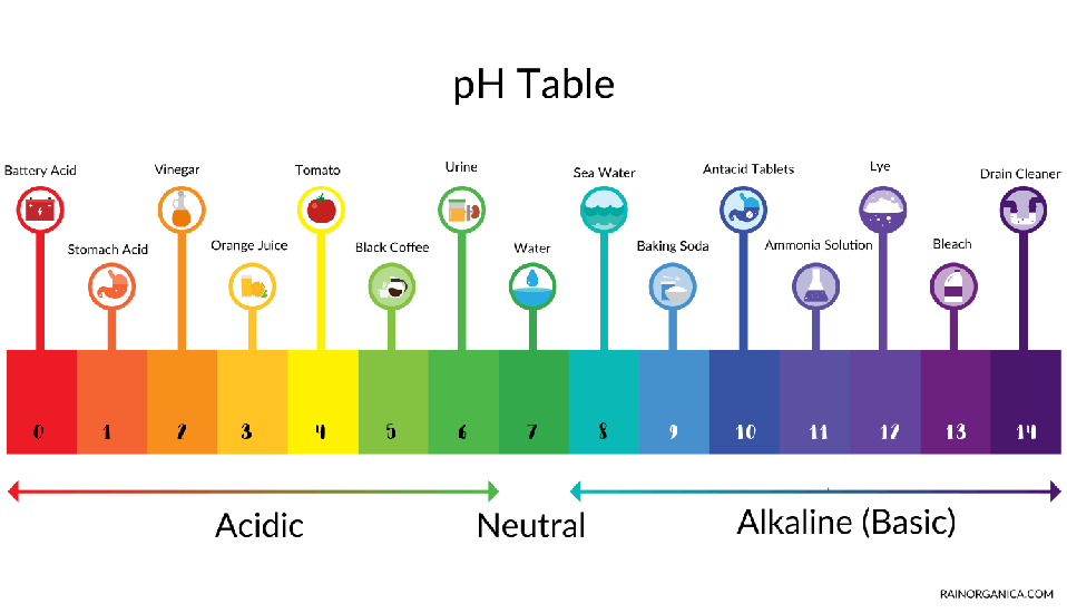 Impact of pH on Acne – Rain Organica